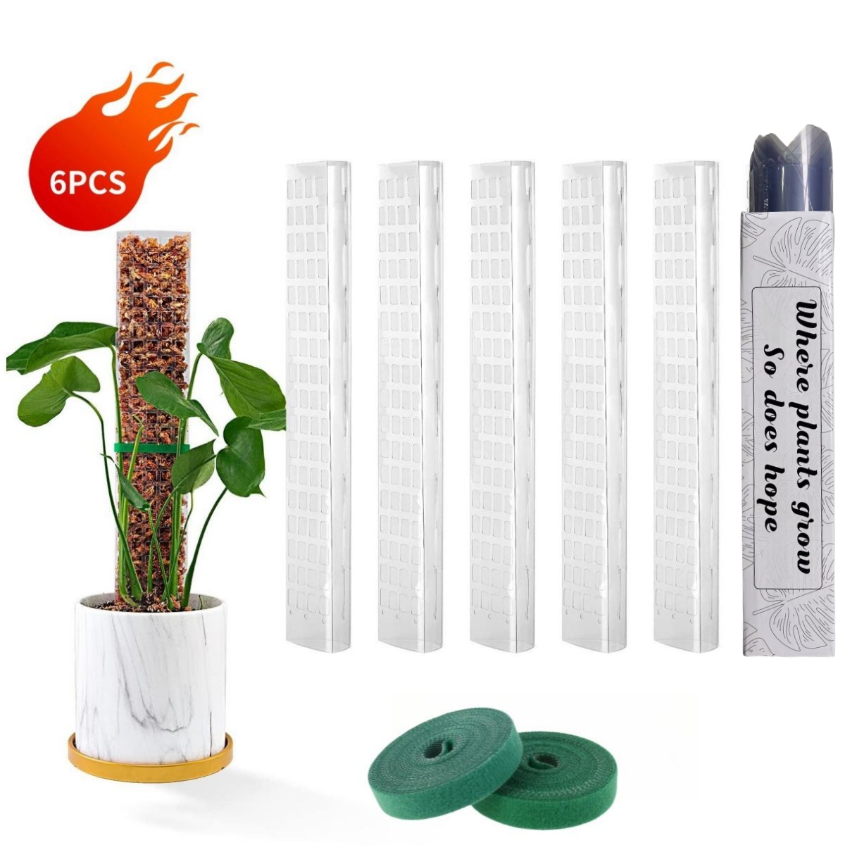 Moss Poles Plants Plant Suppor - Echeveria Succulent review and price