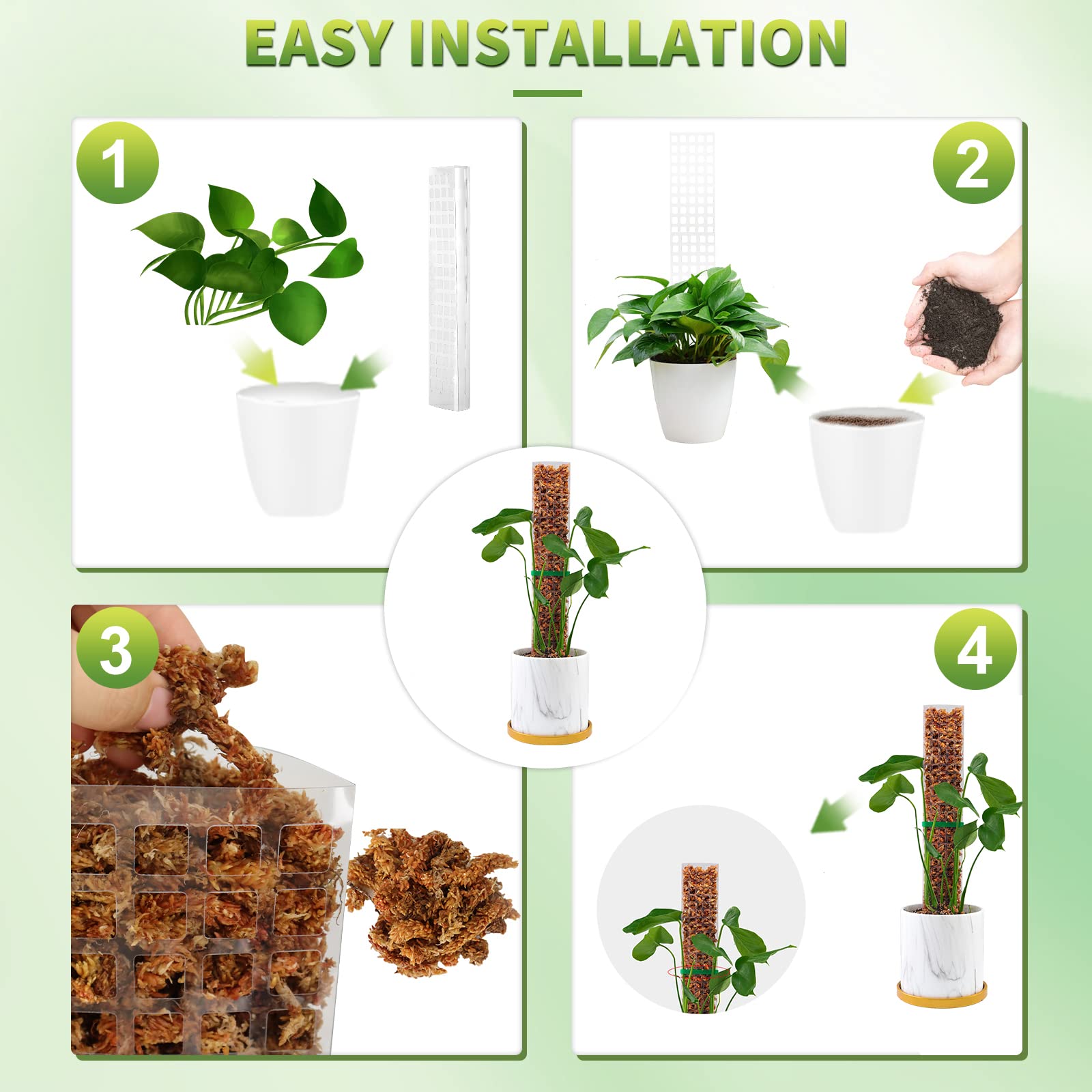 Moss Poles Plants Plant Suppor - Echeveria Succulent review and price