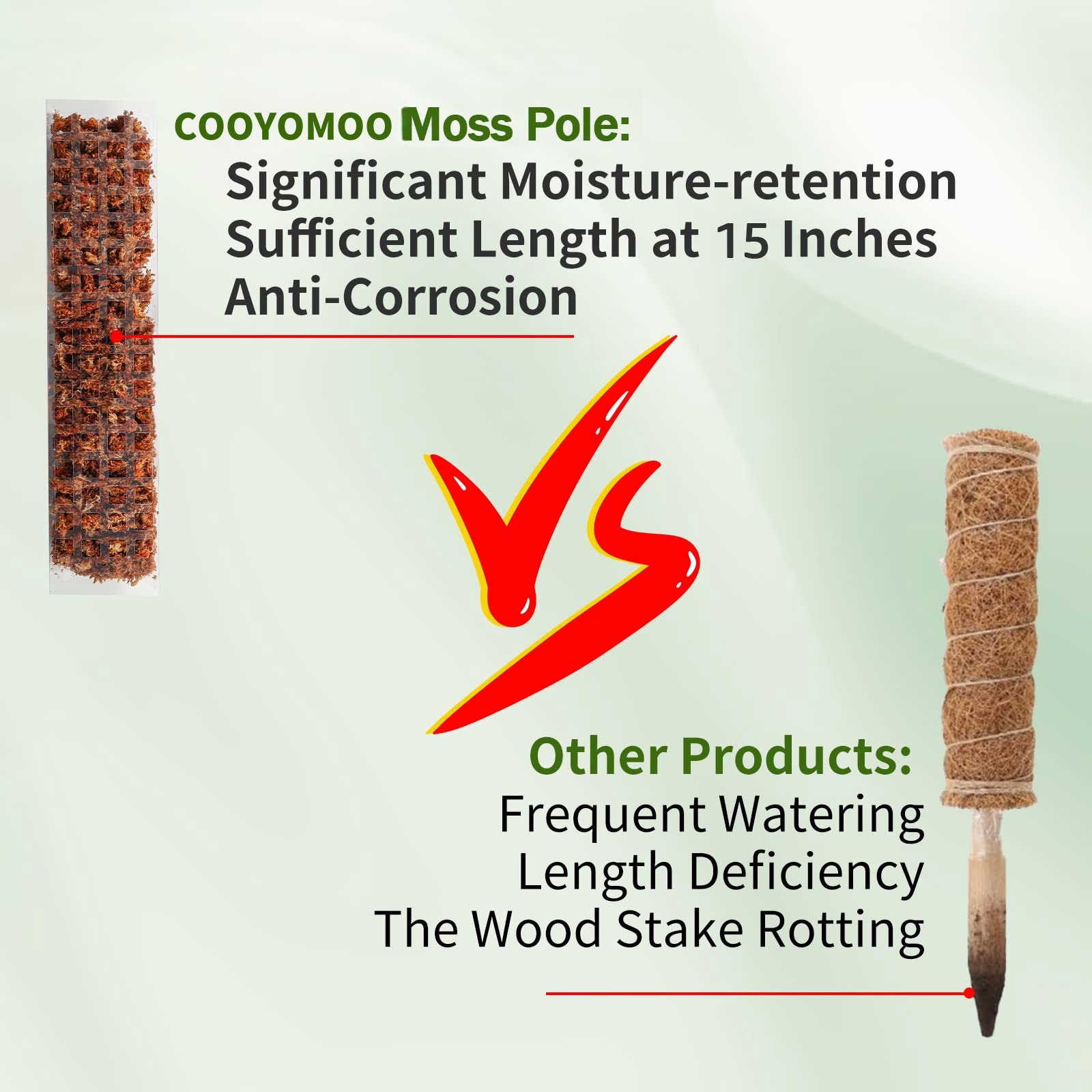 Moss Poles Plants Plant Suppor - Echeveria Succulent review and price