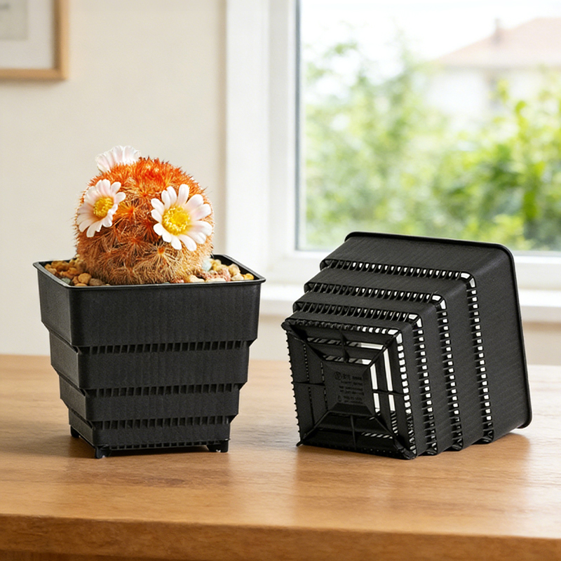 MESHPOT 6-Pack Square Pots for - Echeveria Succulent review and price