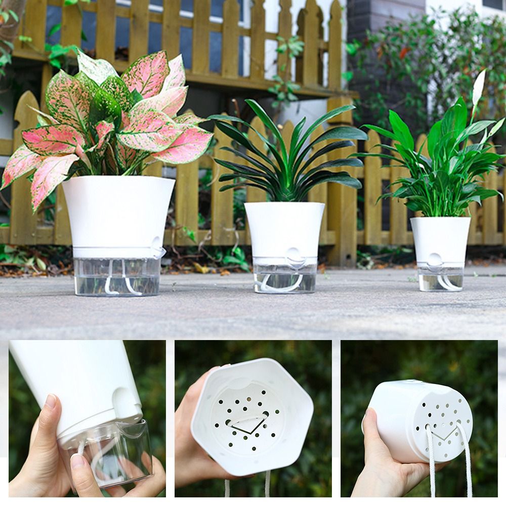 Transparent Double Layer Plast - Aloe Vera Pot review and price