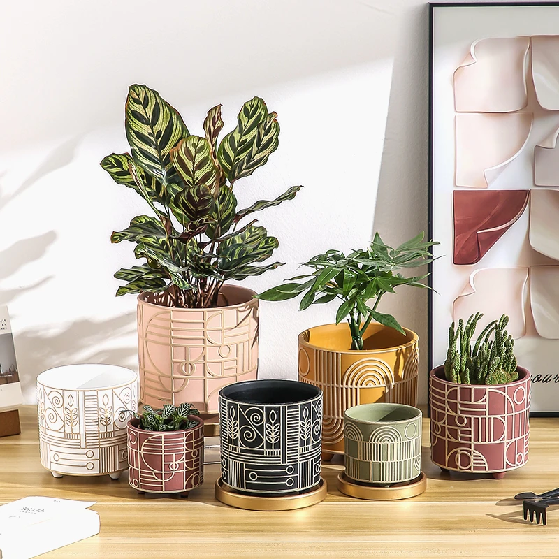 Simple Cylindrical Ceramic Flo - Aloe Vera Pot review and price