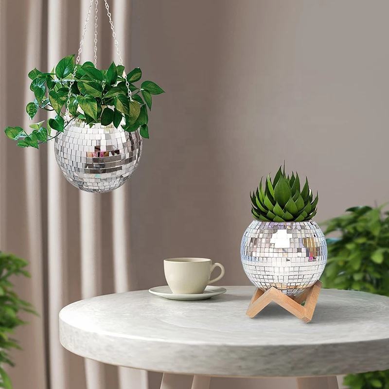 Disco Mirror Ball Hanging Flow - Echeveria Succulent review and price