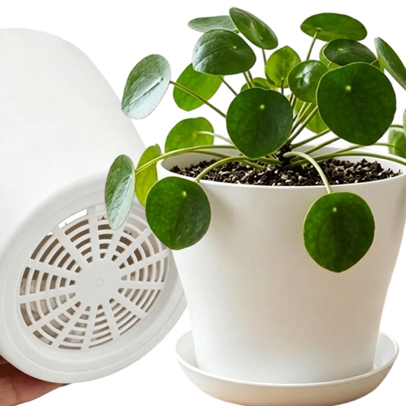 Plant Pot Set with Drainage Ho - Aloe Vera Pot review and price